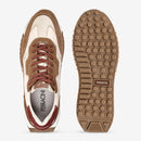 Sneaker Ferracini Masculino Trufa Racer